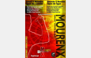 Mx Darts - Open de Ligue